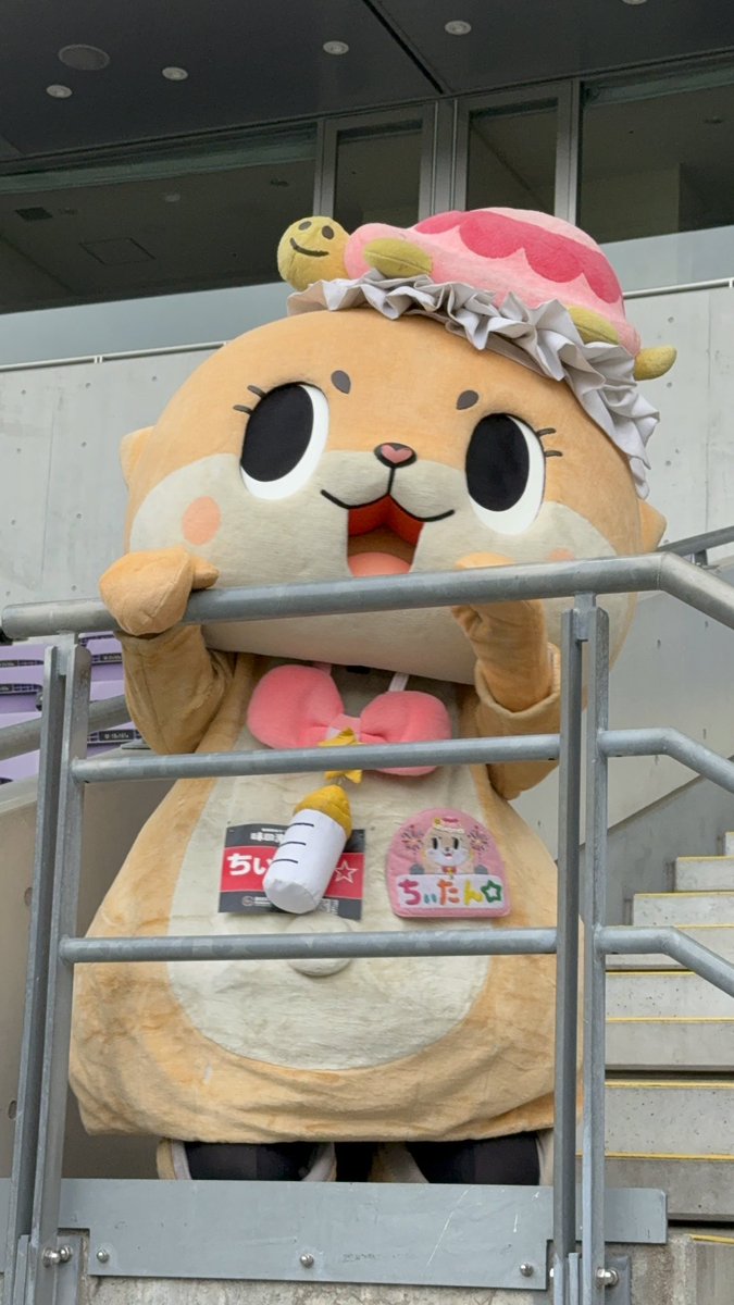 minichan1112's tweet photo. 保護者さんの帰りを大人しく待つちょこんとちぃたん☆

#BOOSTランニングフェスタ
#ちぃたん☆
@chiitan7407 https://t.co/ArPAfKf812