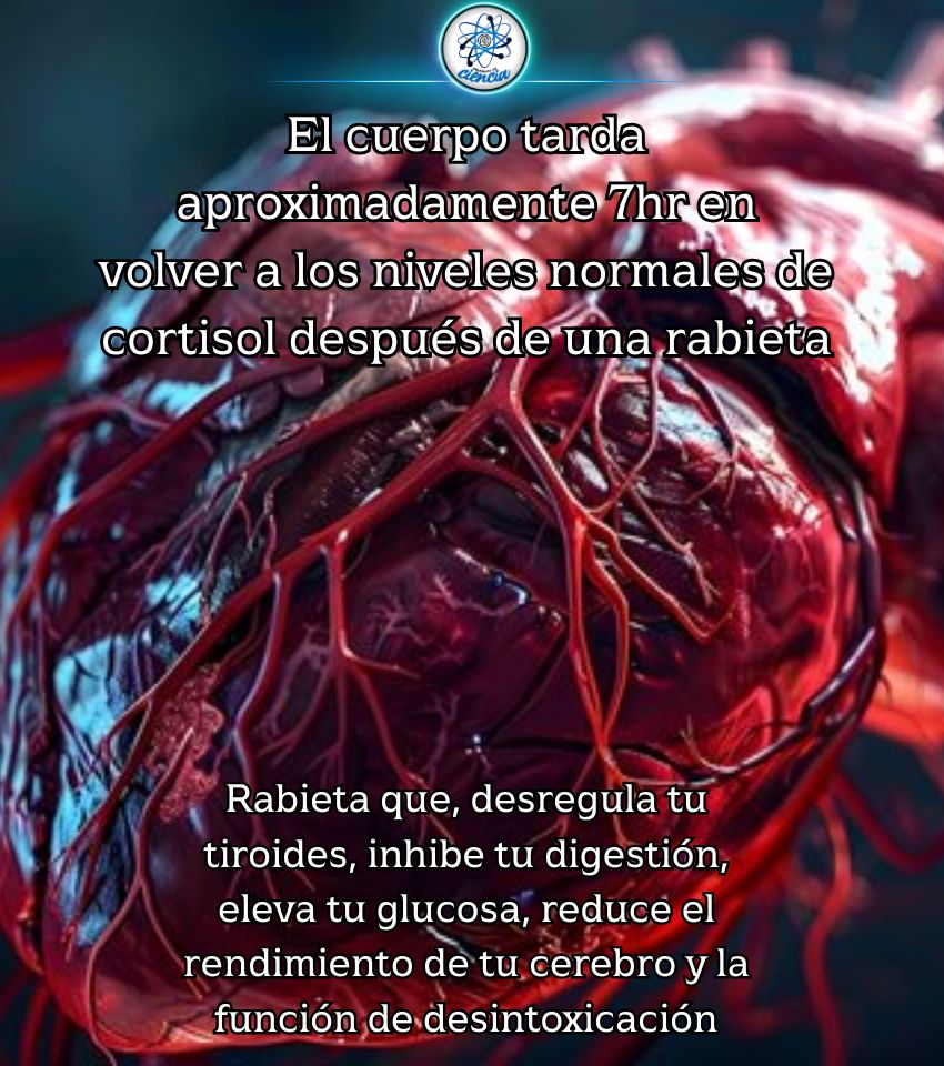 EnsedeCiencia's tweet photo. https://t.co/OCCYuNKqGR