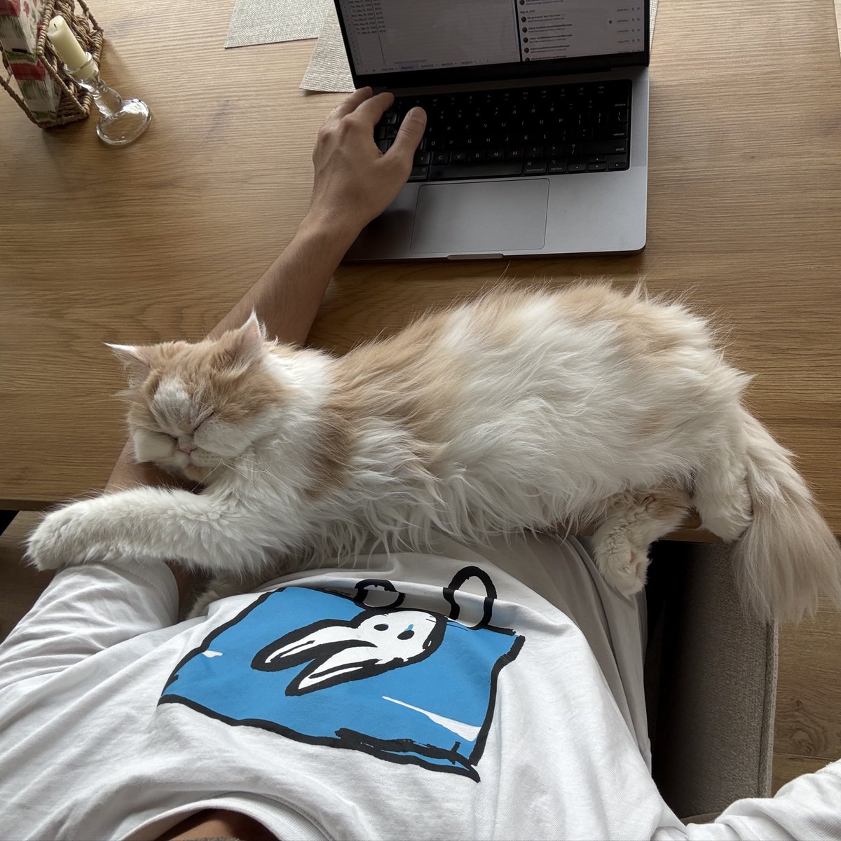 دیگه با شاه هم فالوده نمی‌خورم، چون فرح تو بقل خودمه 😂