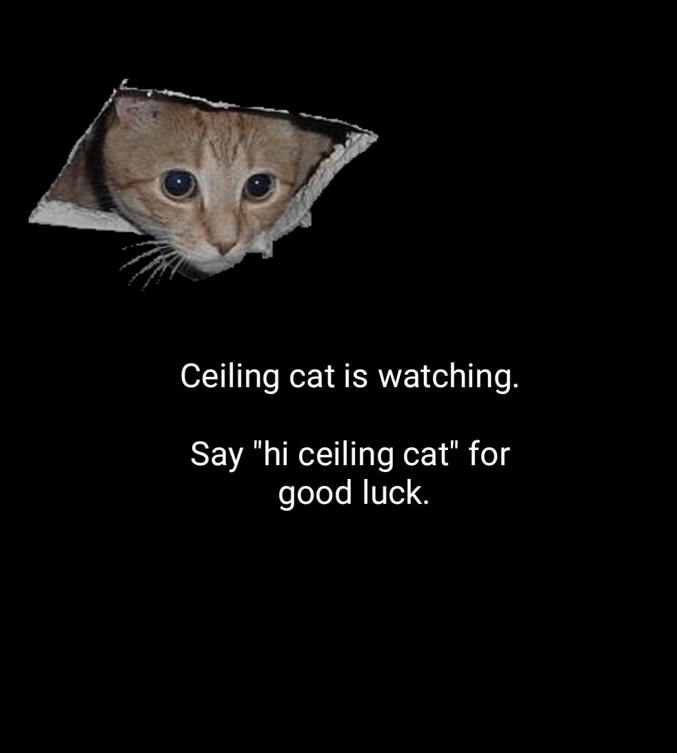 Hi Ceiling Cat :)