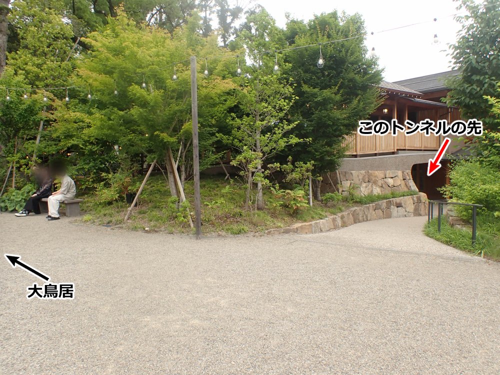 これは少なくともネット上では、まだあまり知られていないっぽいんですけど。

去年できた川越氷川神社の北参道が、これからとても良い感じの紫陽花ロードになりそうです。写真は今日の夕方に撮影しました。
品種は、日本で古来から親しまれているガクアジサイがメイン。花言葉は謙虚、控えめ。
#川越