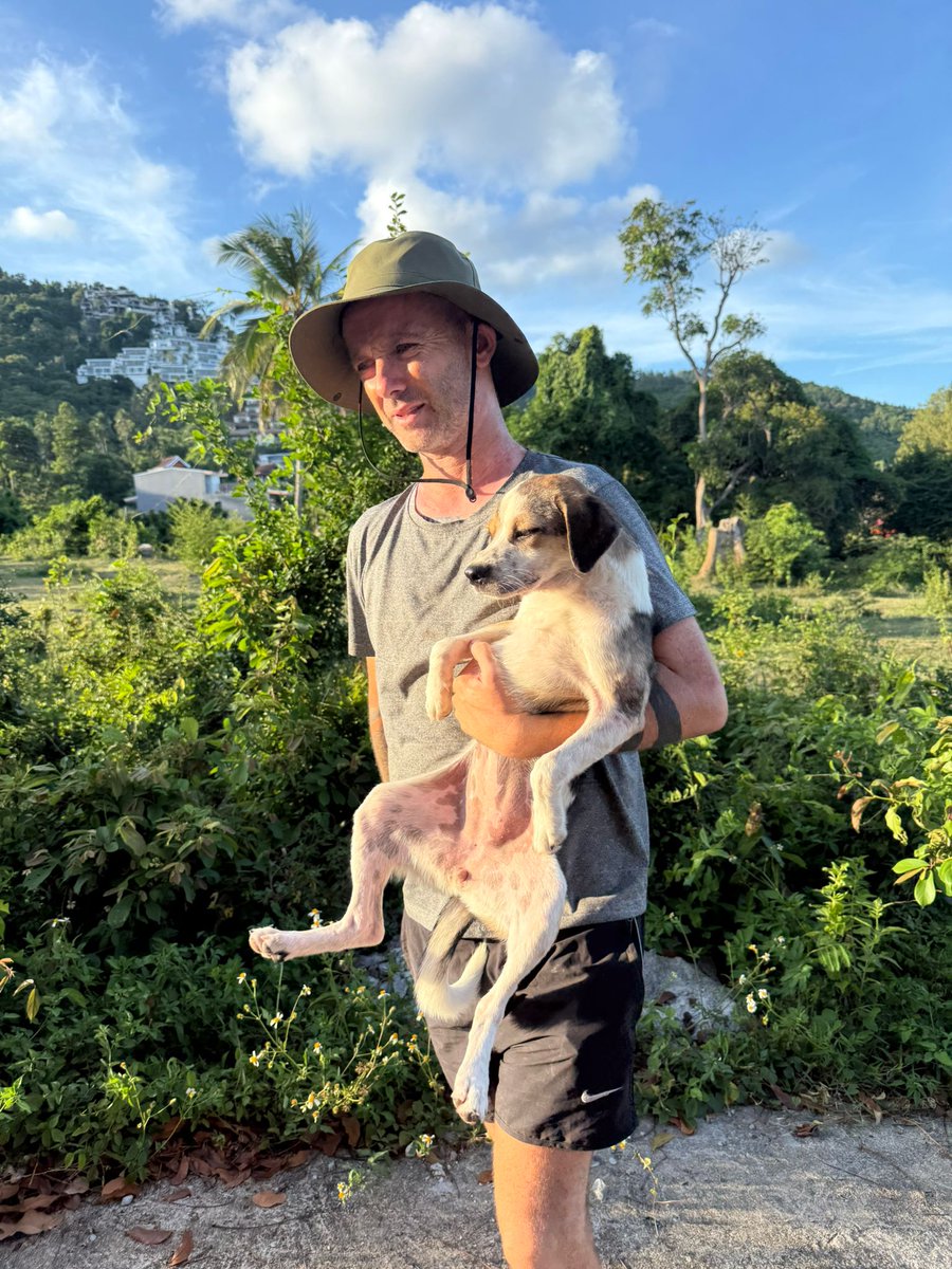 NiallHarbison's tweet image. People always ask how to support my mission to save street dogs...
💵 Donate happydoggo.com/donate
📩 Weekly update niallharbison.substack.com
📱 Follow instagram.com/niall.harbison/
📚 My Book lnk.to/TinaTheDogWhoC…
Any of those help 🥰🙏