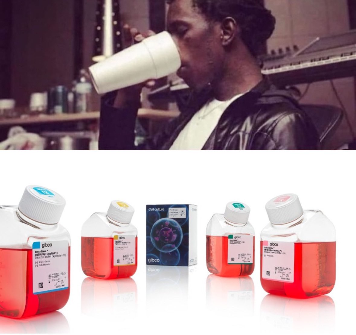 Malika 🧬 (@malikules) on Twitter photo 