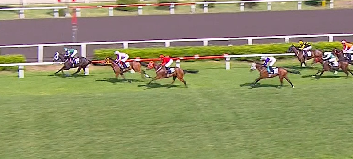 トルコ・３歳未勝利戦（芝1400）に、後のダービー馬に完勝しながらも早逝したPapagallo以来のSaxon Warrior産駒であるHill Of Spirit（牝3・赤の勝負服）がデビューし人気薄ながら３着好走。これならすぐに勝ち上がれそう。にしても、久しぶりに10分以上かかる枠入りを見た。 video-cdn.tjk.org/videoftp/2025/…