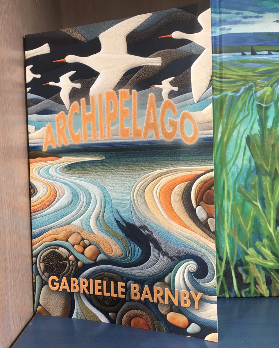 GabrielleBarnby's tweet image. ARCHIPELAGO - Now available at good bookshops, I’ve just popped in and signed some copies @The_Orcadian Bookshop, Kirkwall. #independentbookshop #localwriters #orkney @SparsileBooks