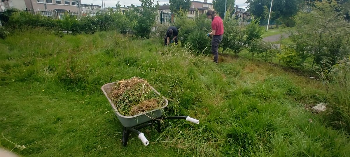 Spending a Saturday morning together in our community garden is a simple yet meaningful way to connect, with nature, neighbours and ourselves, these mornings are about more than gardening. They’re about growing friendships and nurturing our shared space. Everyone is welcome 🌱