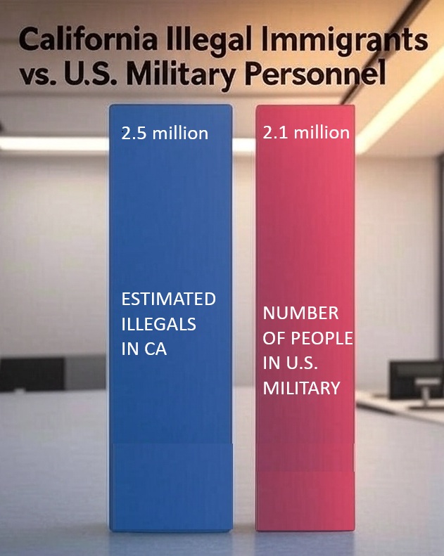 <a href="/LauraLoomer/">Laura Loomer</a> <a href="/PalantirTech/">Palantir</a> There are more illegals in the state of CA alone than there are people in the US military.