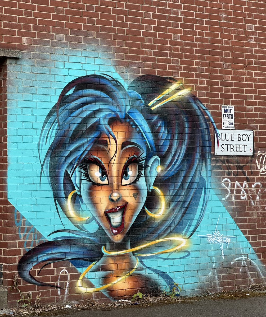 🩵 #Sheffield #streetart #graffiti #artwork #wallart