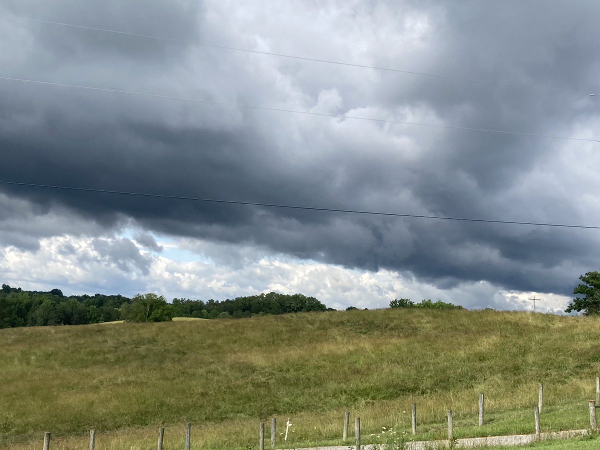 Kattkeith tweet media