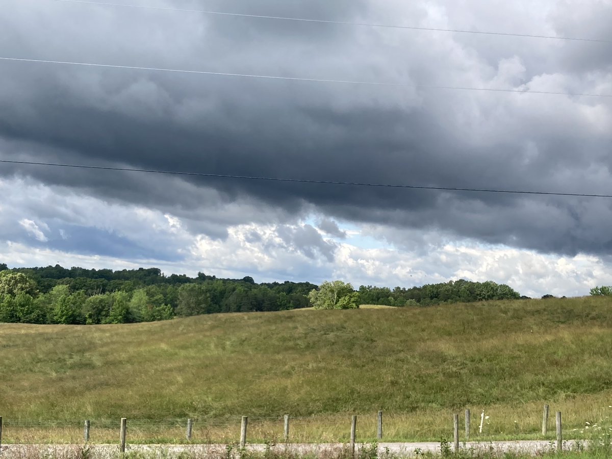 Kattkeith tweet media