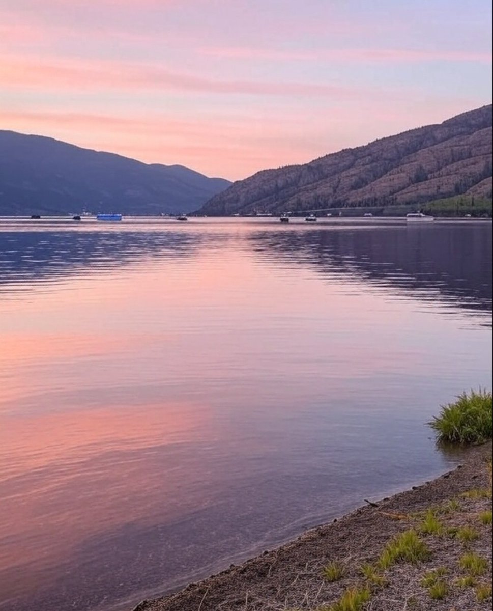 GM if you GM 
 Sunrise over Okanagan Lake in Kelowna is beauty. Coffee’s brewing—don’t let the ducks beat you to the best view!