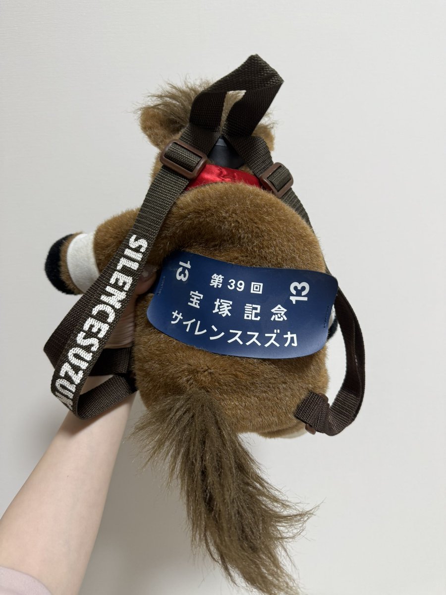 幼い頃この子をよく背負ってたんだよ🐴♡👧🏻