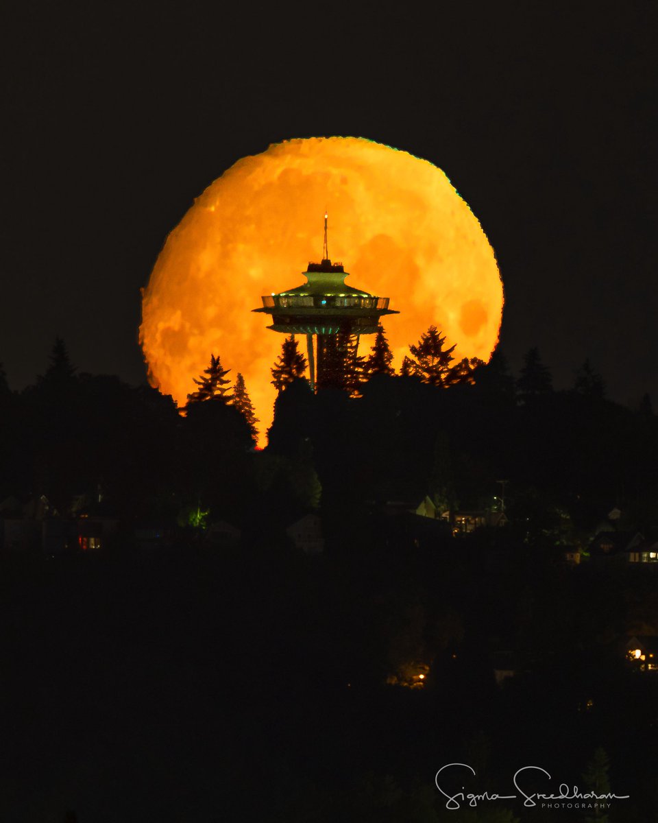 sigmas's tweet image. Jet lag kept me awake last night/this morning, so took a quick drive to Kirkland to capture the 92% waxing crescent moon behind #spaceneedle on its way down .