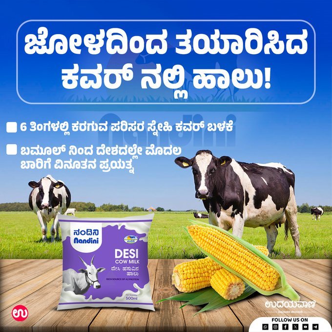 ನಮ್ಮ ನಂದಿನಿ ನಮ್ಮ ಹೆಮ್ಮೆ 💛❤️