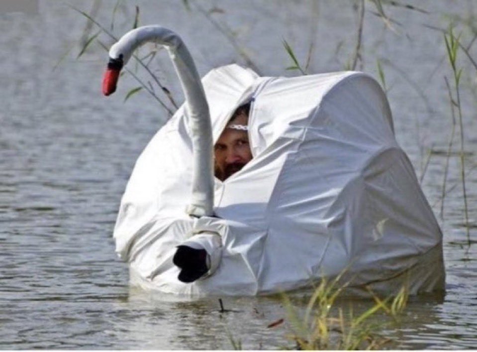 The IRS hiding behind a NFT on crypto twitter