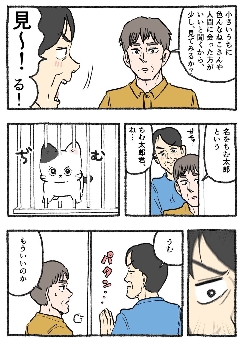 ねこに転生したおじさん。その732