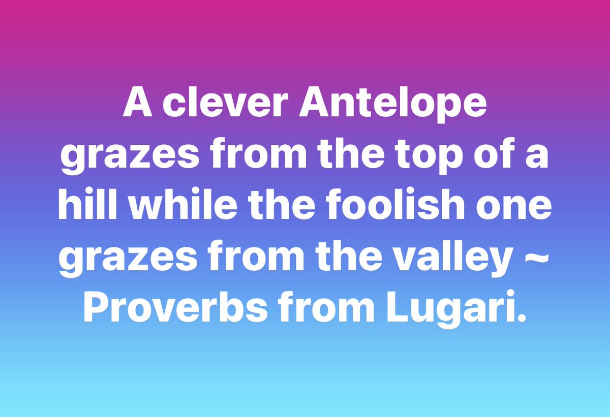 Emmanuel Dennis (@emmanueldennis) on Twitter photo 