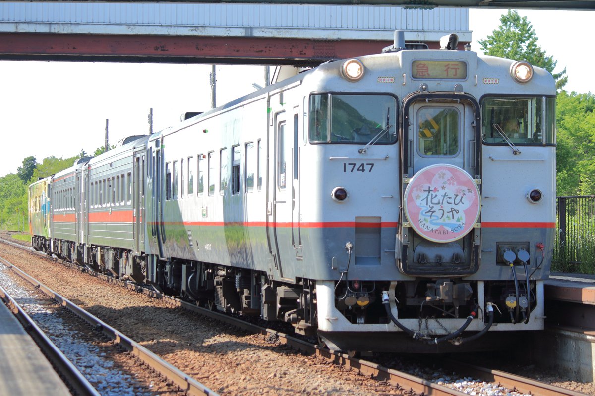 今年の急行「花たび そうや号」。 宗谷線急行気動車ふう塗装の「キハ40