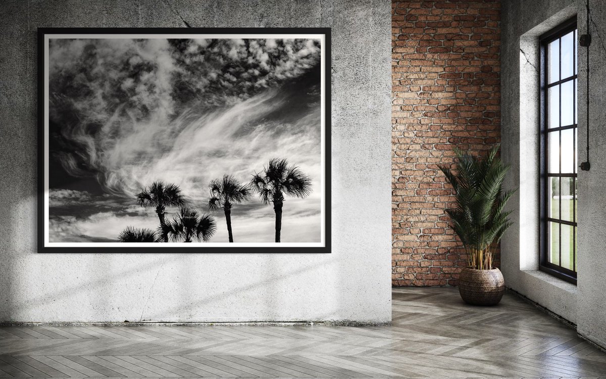 SparksPhoto's tweet photo. 🌼 "Art is the only way to run away without leaving home." – Twyla Tharp 

Photography by SKY+SPARKS https://t.co/8uwO8a1JZM

#VisualStories #ArtisticStories #VisualEuphoria #SoulfulMagic #EnchantedDecor #ArtisticBliss #VisualBliss #ArtisticInspiration #MagicalInspiration https://t.co/ks5OImIV8l