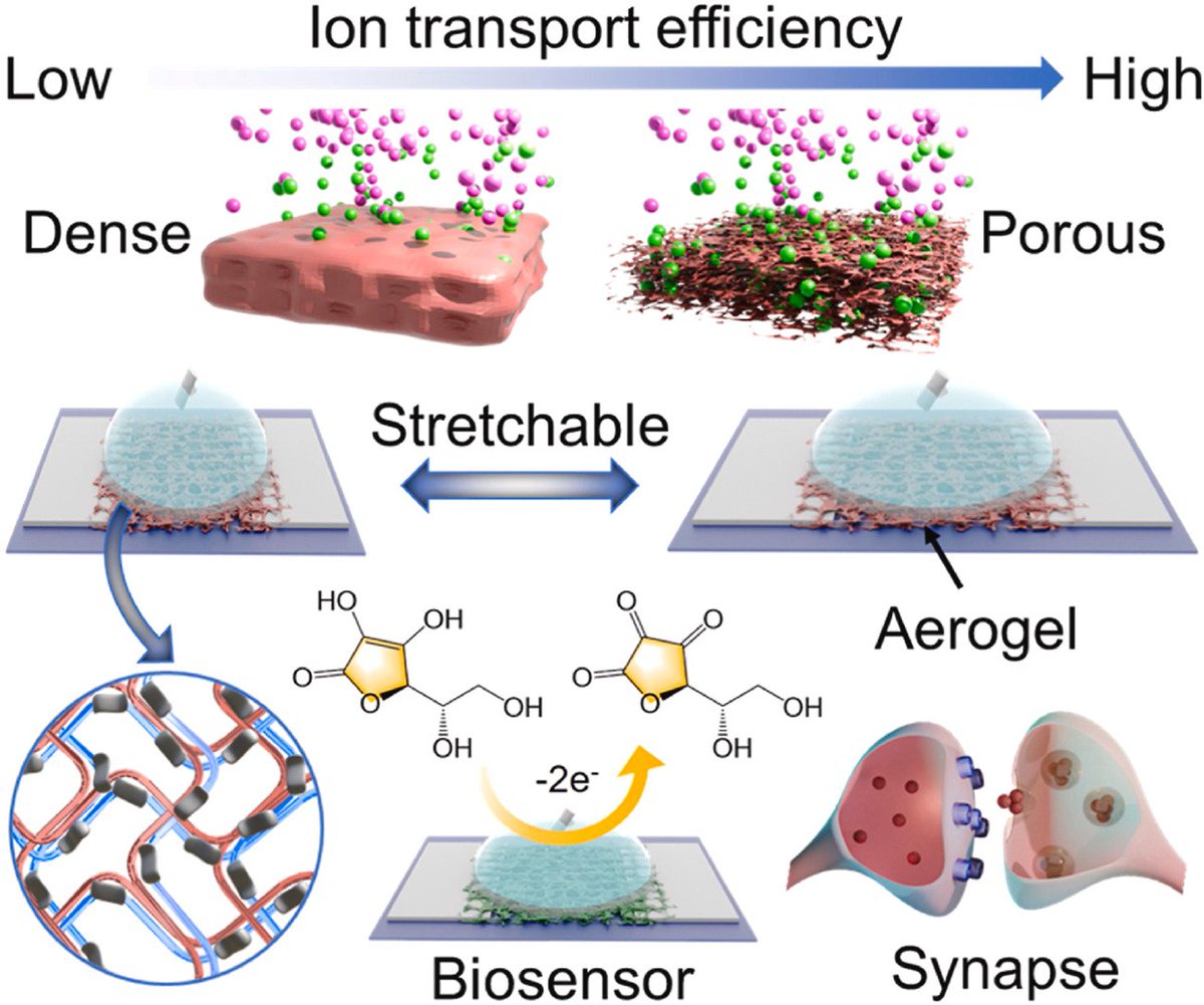 Biomaterials_'s tweet image. Stretchable Semiconducting Polymer Aerogel Transistors for High-Performance Biosensors and Artificial Synapses doi.org/10.1016/j.biom…