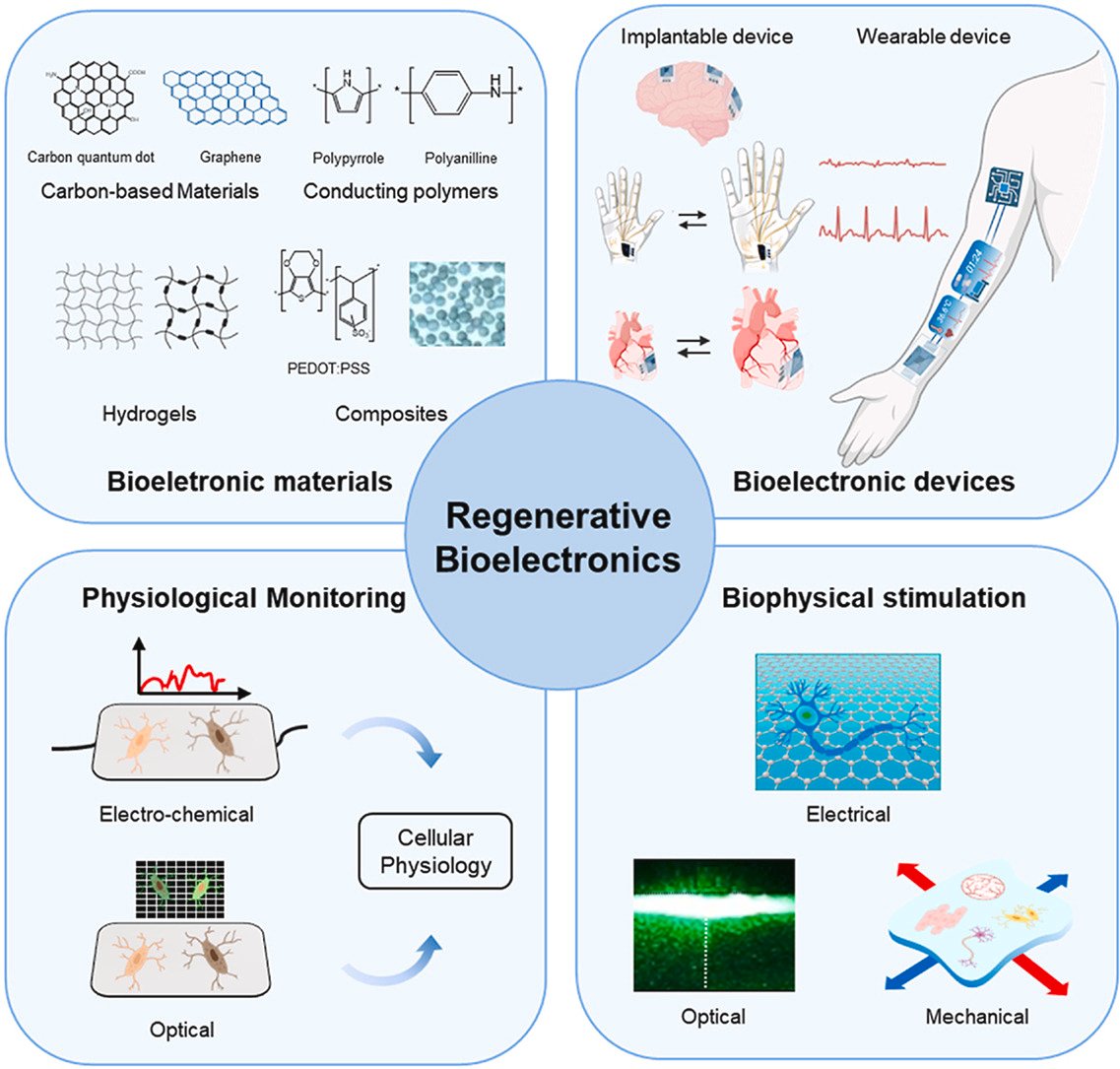 Biomaterials_'s tweet image. Smart Bioelectronic Materials and Systems for Regenerative Tissue Engineering doi.org/10.1016/j.biom…