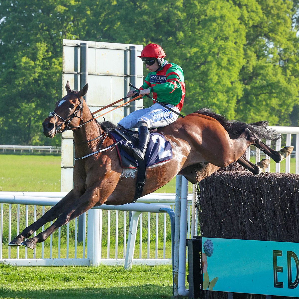 SCHMILSSON wins the Perth Silver Cup Handicap Chase 👏