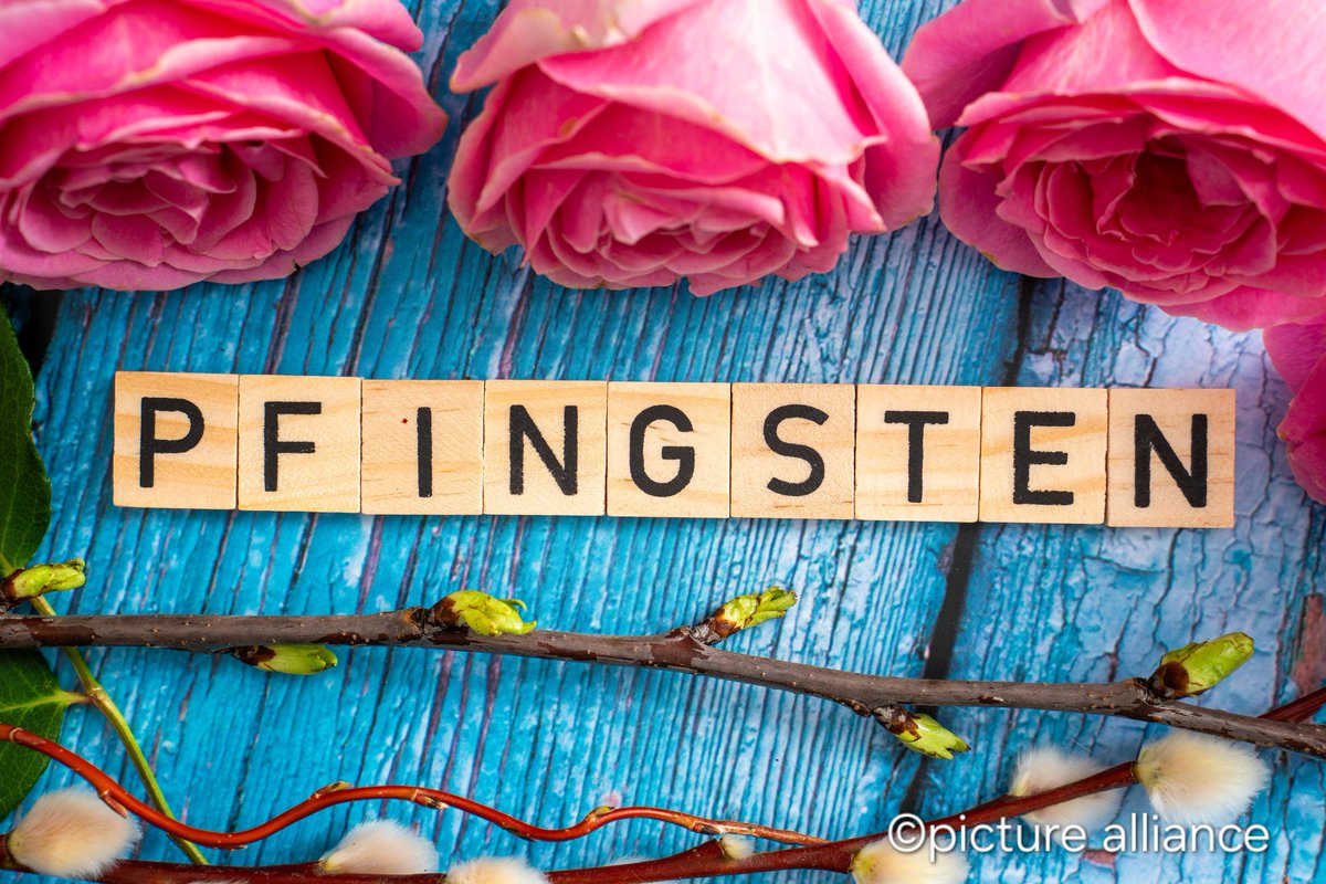 Frohe Pfingsten! 🌟✨ 50 days after Easter, Pfingsten (Pentecost) arrives 🕊️. May it bring peace and joy to all. 🌿💚 Discover German traditions like 🌳 tree planting, 🐂 decorated oxen, and 🌿 beautiful wreaths! #Pfingsten #Pentecost #GermanCulture
