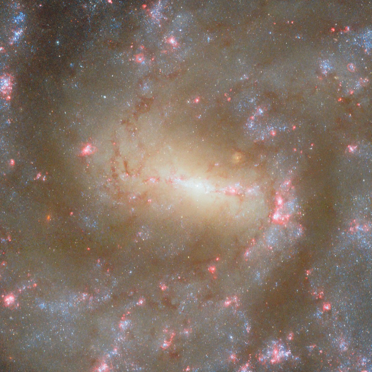 📷 This was our #WeekInImages, 2-6 June 2025 👇

esa.int/About_Us/Week_…