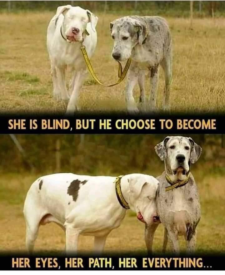 Photo of the day 🤗
Best friends ever 🥰
