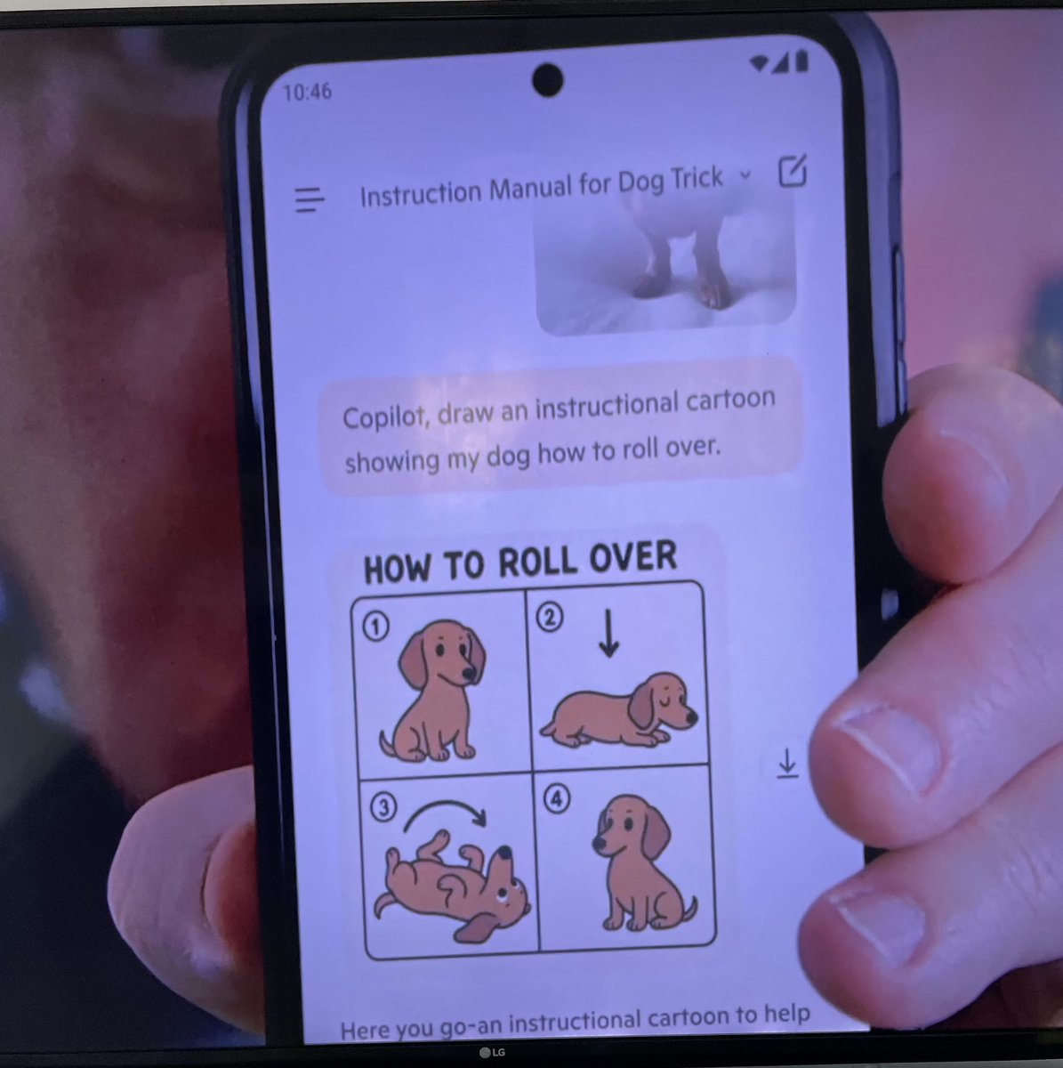 Hey co-pilot,
Your tennis ad spend may not turn out how you expect.  Just like my dog may never learn to roll over…