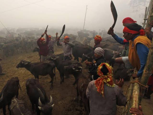 கடலோடி🇮🇳 tweet media