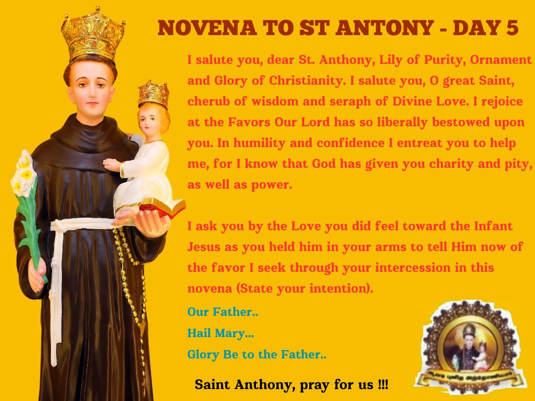 stantonysshrine's tweet photo. Novena to our patron St.Antony of Padua - Day 5 at  #StAntonysShrineAvadi

#feastofstantony #StAntony #StAnthonyofPadua  #avadi  #stantonysshrineavadi  #stantonysshrine #Novena #Day3 #avadichurch #stantonysshrine #stantonyshrine #stantonyshrineavadi #stanthonysshrineavadi https://t.co/Z7boeIsFYJ