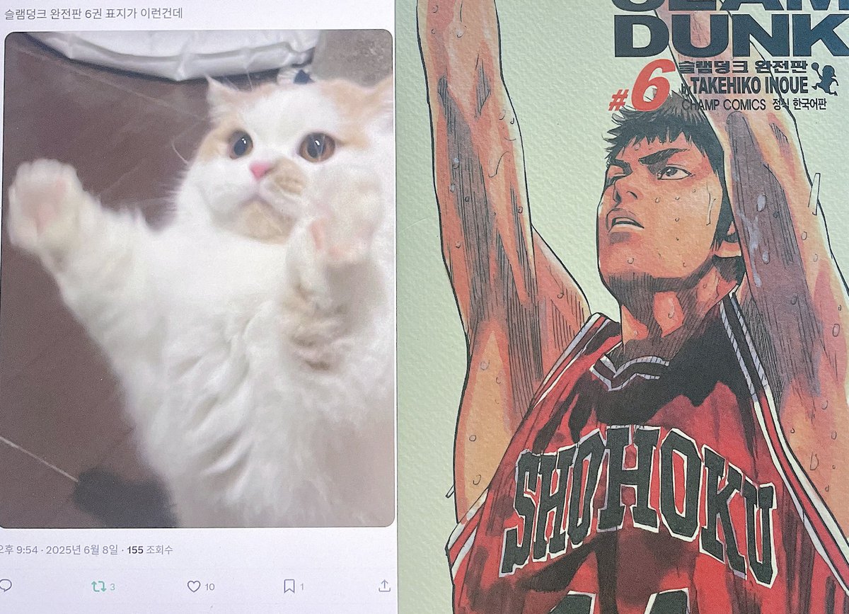 옆에있길래꺼내봤는데 맞는거같아여