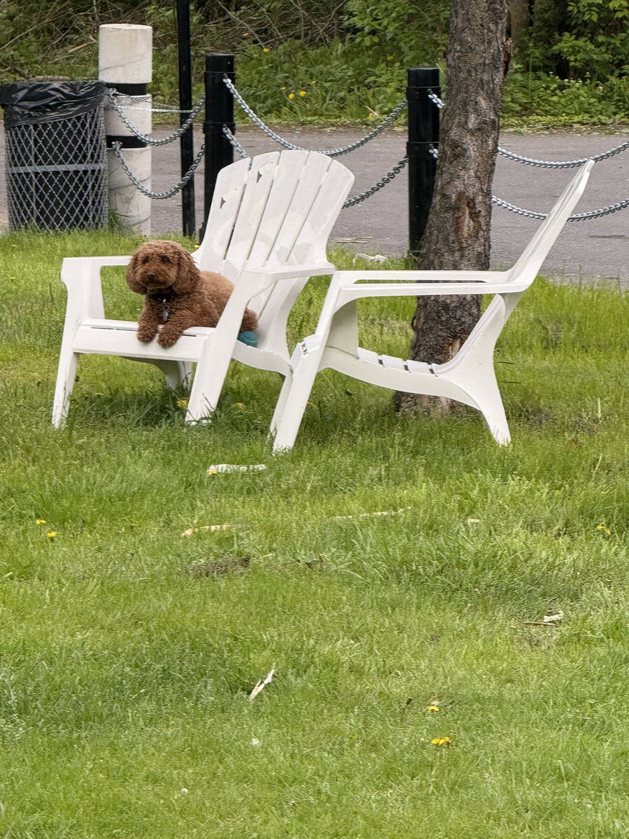 Happy Sunday everyone just chilling today. Gonna smoke a nice cigar. dexscreener.com/solana/CkLQCiG…