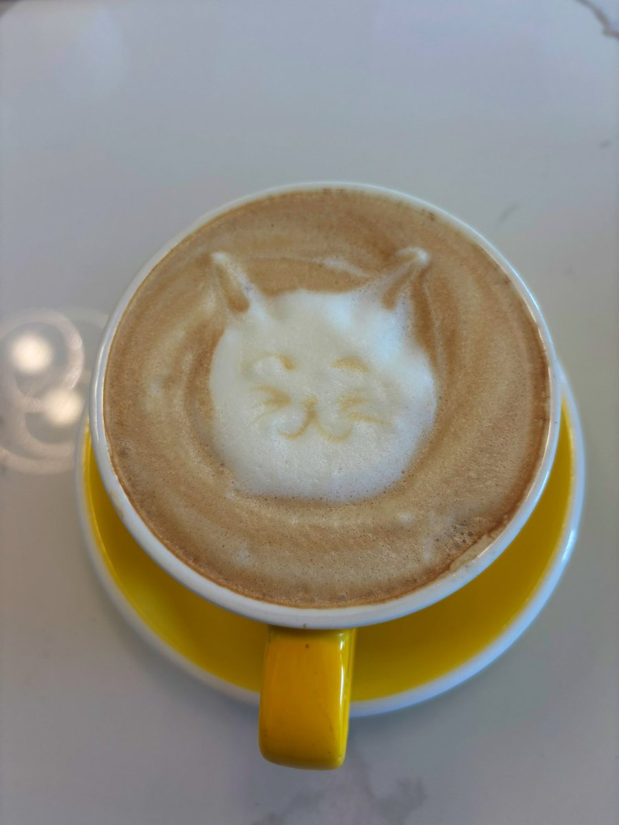 prettimang's tweet image. Meow 😽