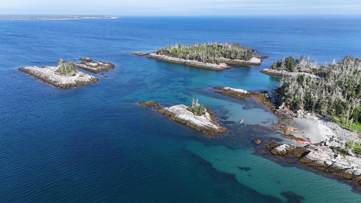 We need to take better care of the ocean.
That's it. That's the tweet.
#WorldOceansDay