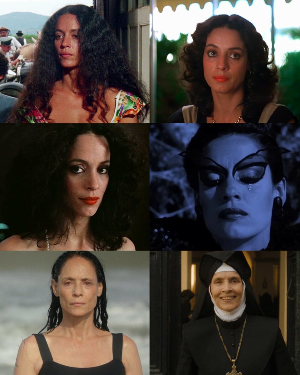 A maravilhosa Sônia Braga está completando 75 anos.