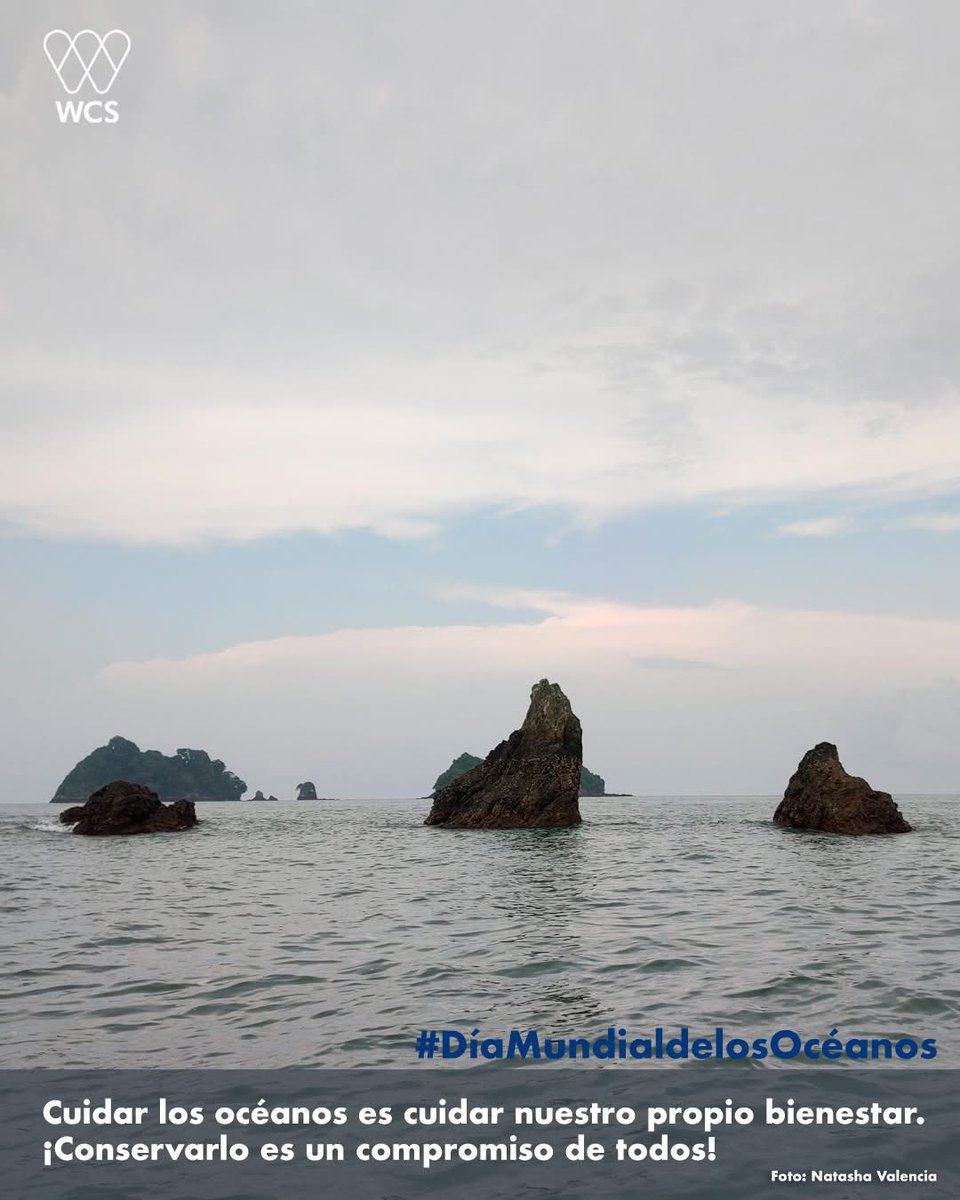 WCS Colombia 💚 tweet media