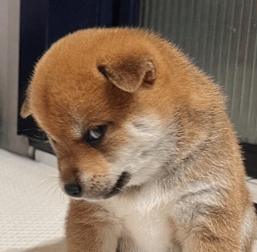 Trevel Connors tweet media