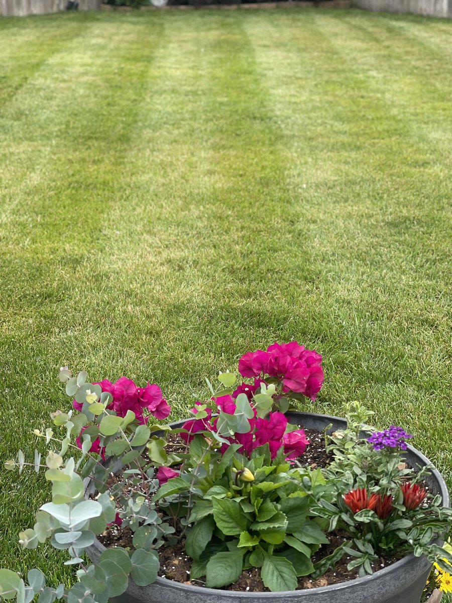 Sunday Morning stripes from the deck just hit harder! <a href="/OutKickTNML/">ThursdayNightMowingLeague</a>