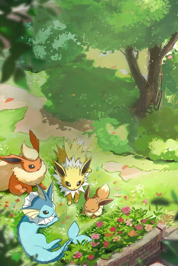 Eevee 👀