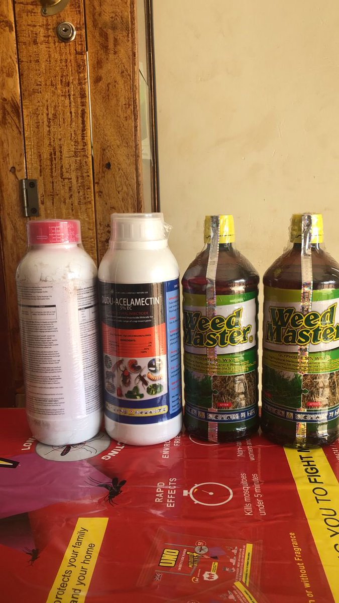 Killing Weeds, Caterpillars 🐛 and Termites on the Compound! 🇺🇸 🇺🇬 
#HaroldHoldings #PalukereUganda