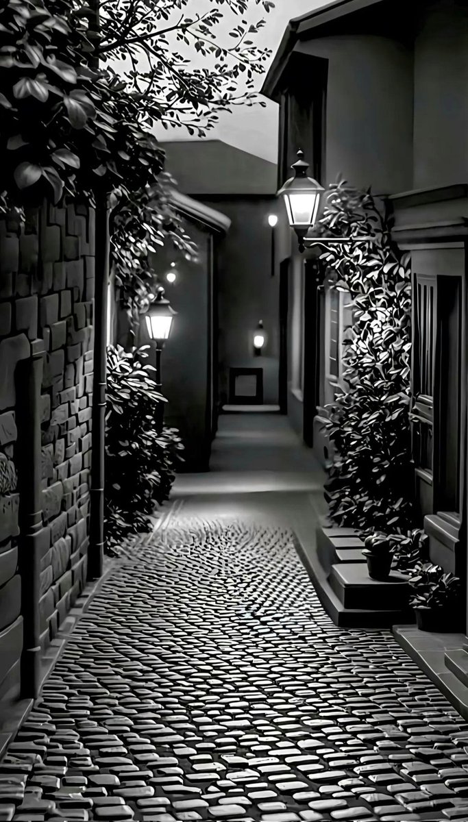 A different black and white work..❈❈