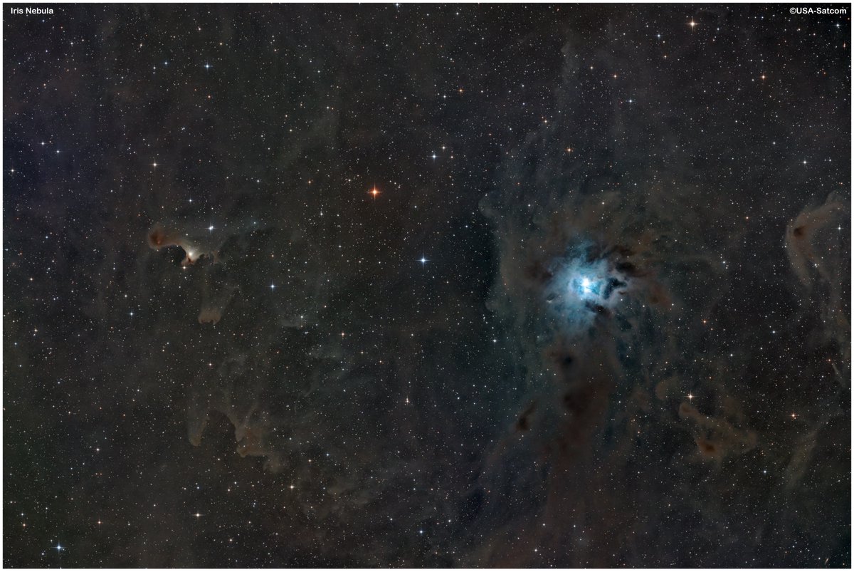 Iris and Ghost Nebulas. 25 hours of integration. Both are  reflection nebulas that are 1300 light years away.