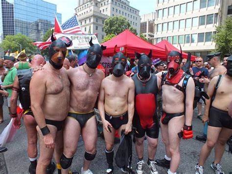 LaughingLion tweet media