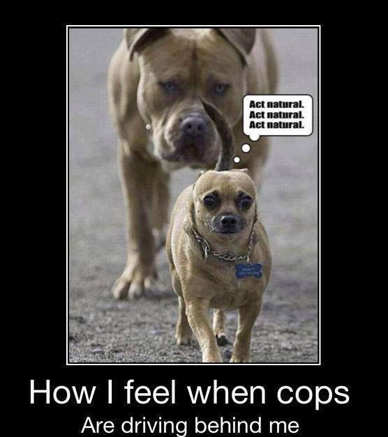 Seriously even,...........................