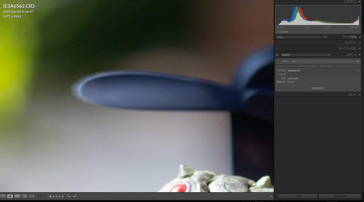 1/8000 f2
被写界深度から外れてくることで影響が大きくなっていることが分かります。