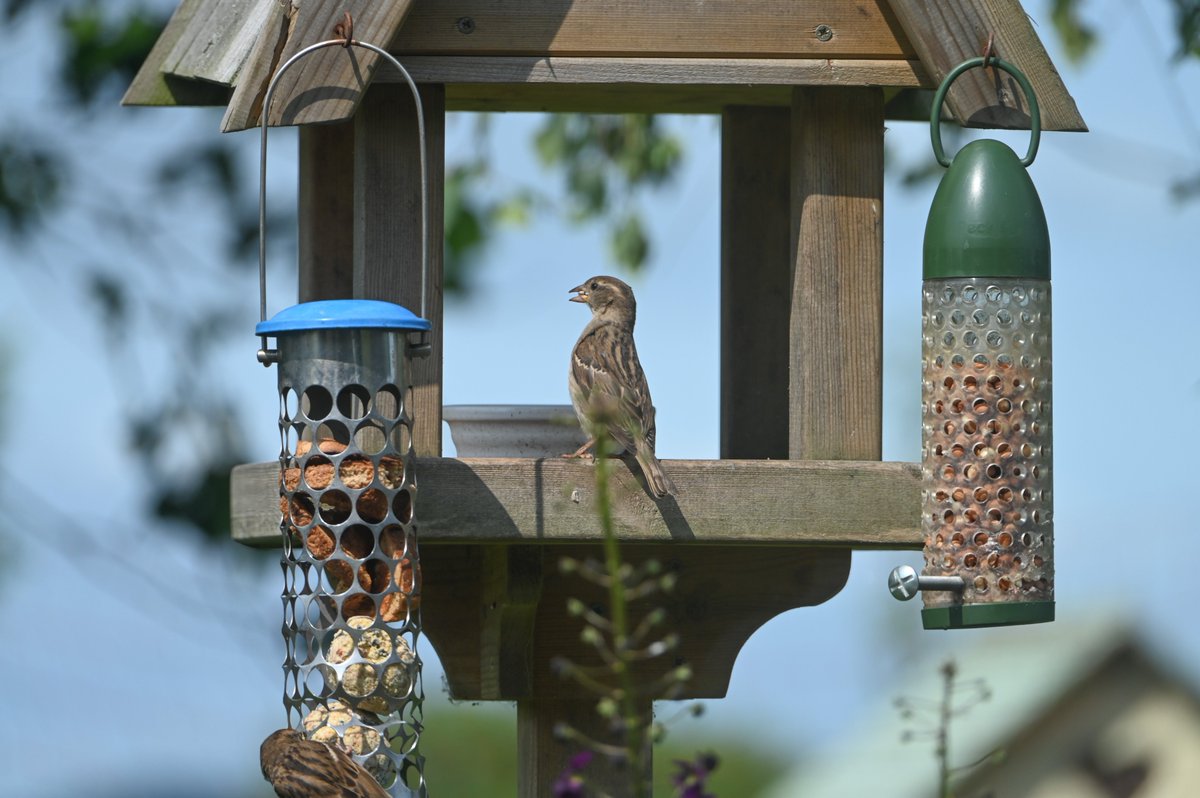 Barrow Street Racing Club tweet media