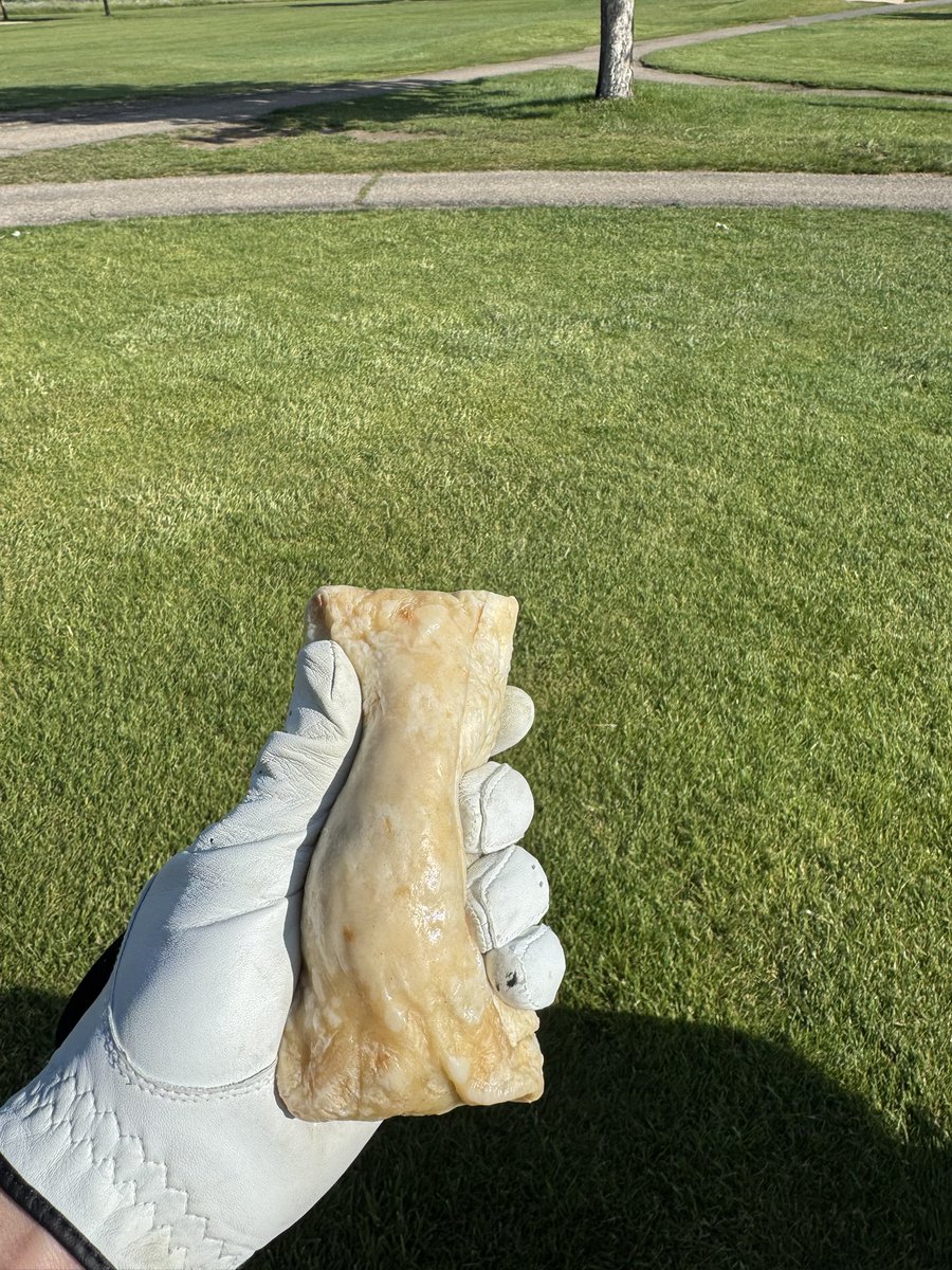 Beautiful day for burritos and golf