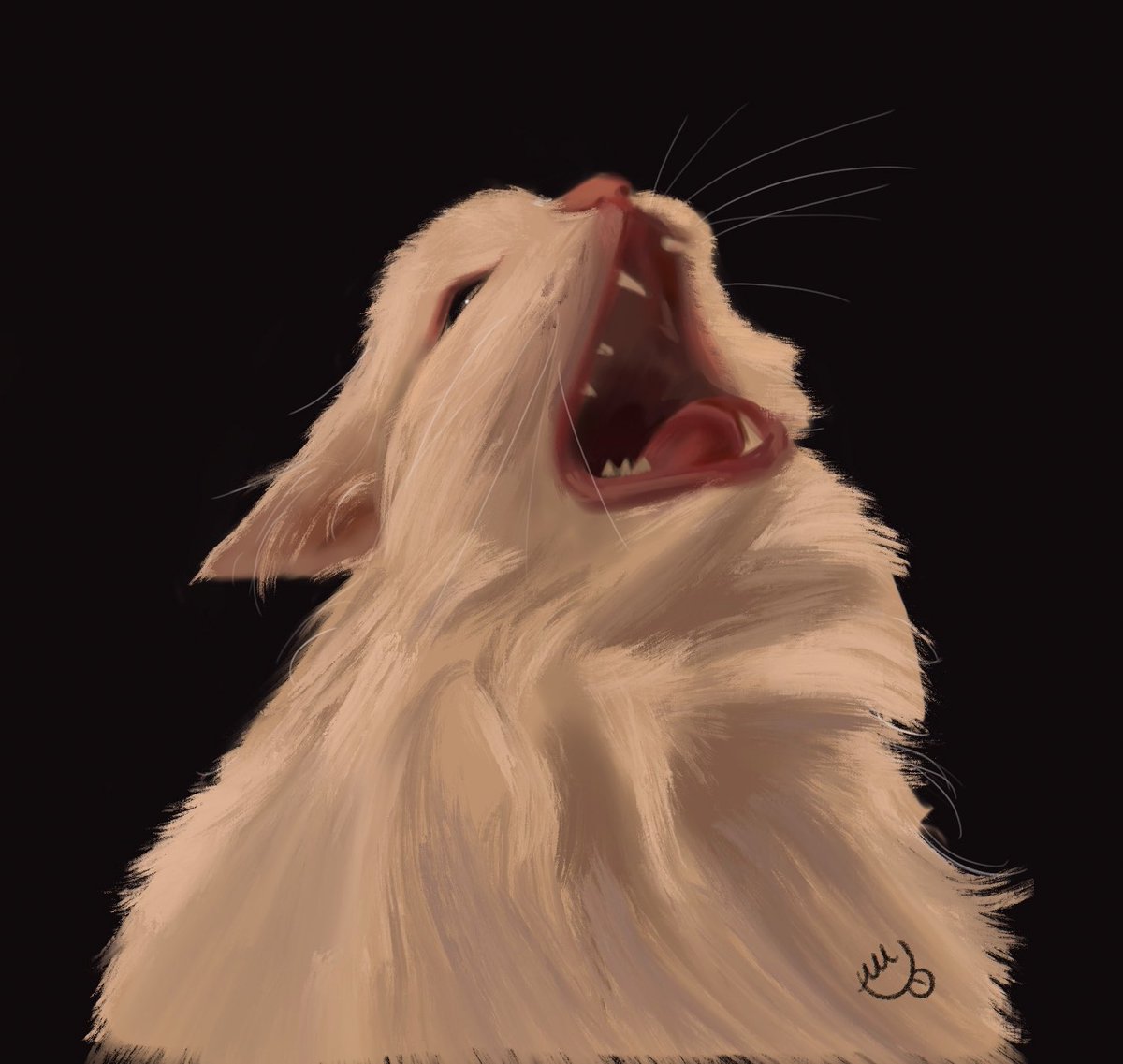 thatnatdraws's tweet photo. Thurston the cat :)

#artmoots #digitalart https://t.co/eECH2FT9ku